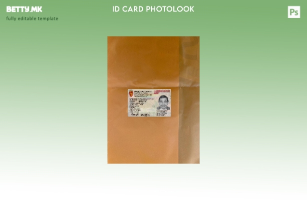 модерен стил Норвешка ID kort картичка photolook предниот шаблон